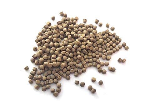 The Sea Cucumber Feed