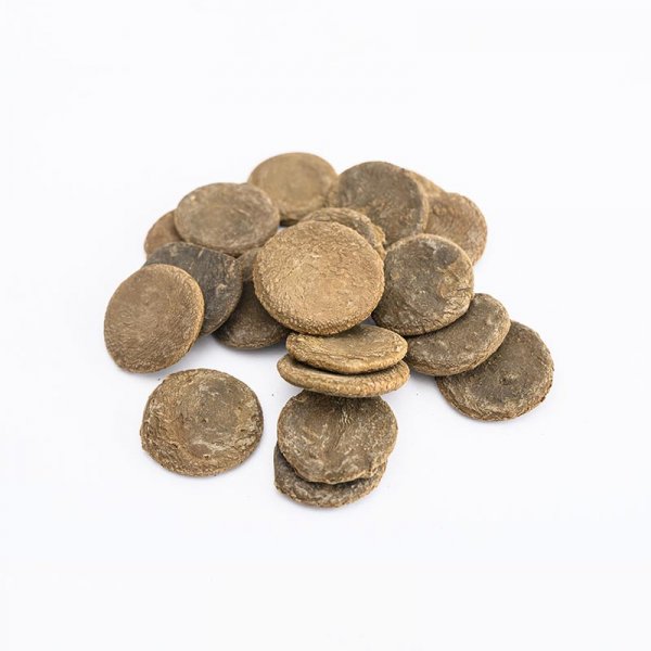 Compound Feed For Abalone