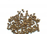 Shrimp culture method and environment