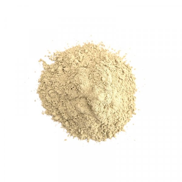 Special compound feed for protecting young sea cucumber in the breeding pool