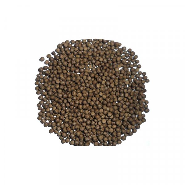 Special Feed For Flounder and Sole