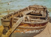 What are the details of feeding feed management under high temperature conditions?